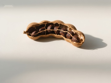 打开的花生壳展示饱满花生仁