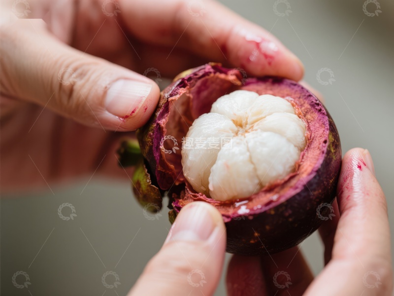 高清大图下载【趣麦麦图】手握新鲜紫红色果肉的山竹
