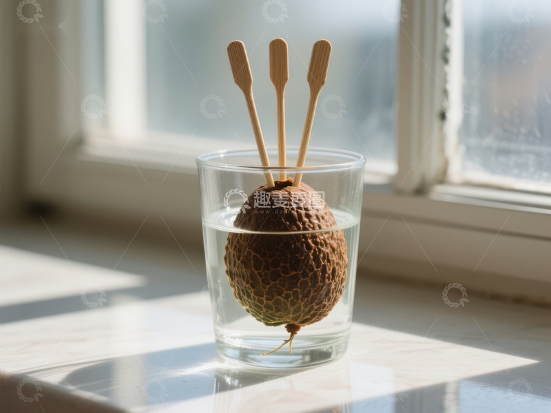 高清大图下载【趣麦麦图】水中柠檬与棉签的静物组合