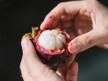 双手剥开新鲜紫红色的山竹