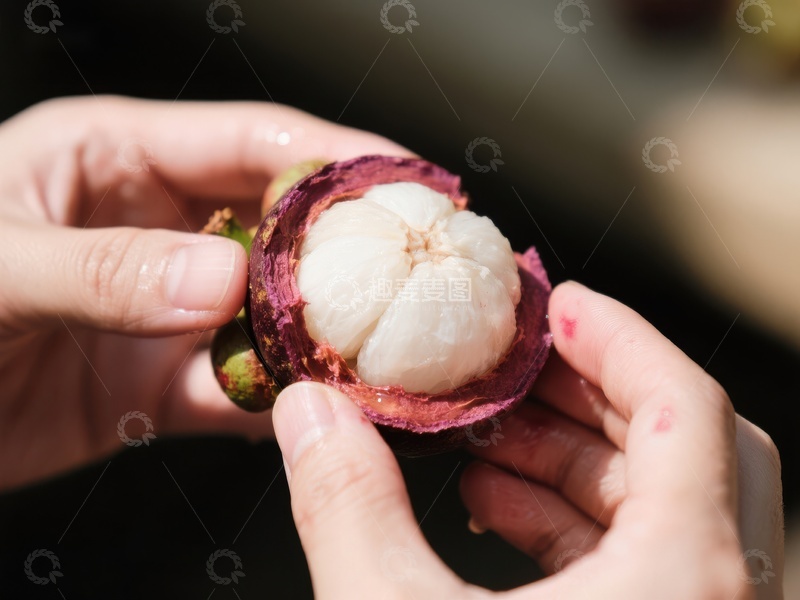 高清大图下载【趣麦麦图】双手剥开新鲜的山竹果