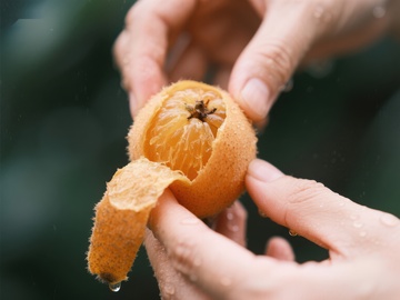 双手剥开新鲜橙子