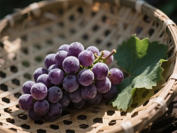 紫葡萄置于竹篮中