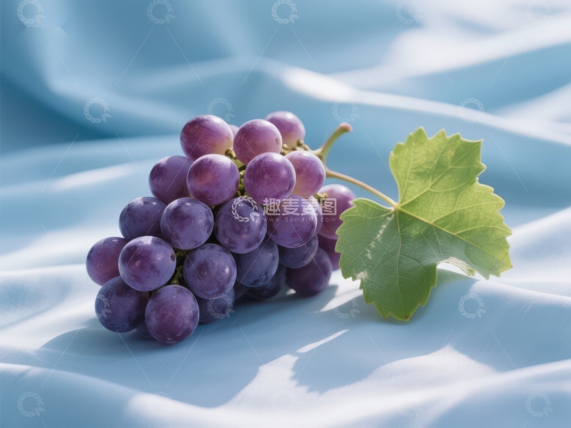 高清大图下载【趣麦麦图】紫葡萄与绿叶置于浅蓝布上