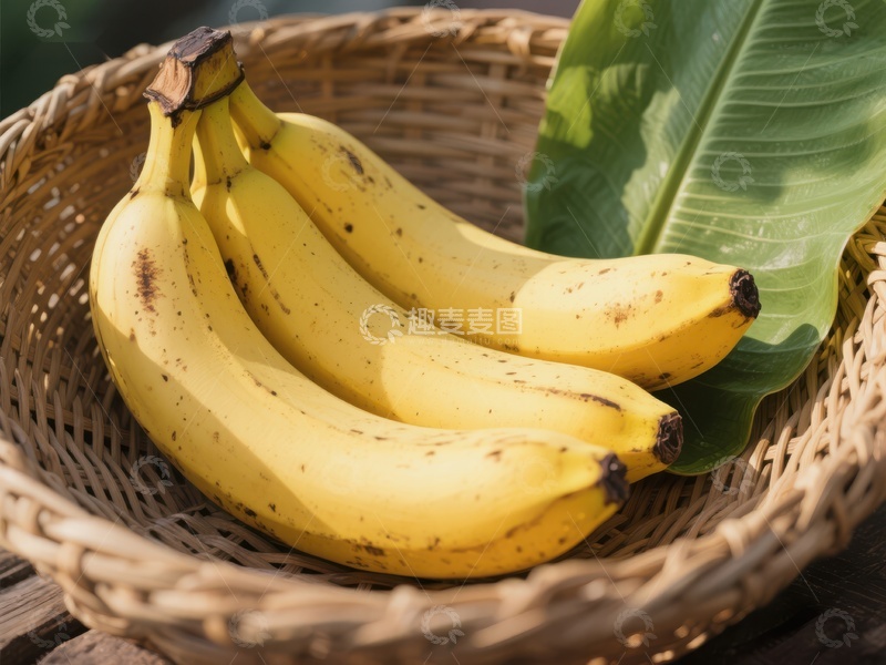 高清大图下载【趣麦麦图】篮中新鲜香蕉与绿叶