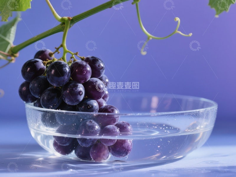 高清大图下载【趣麦麦图】紫葡萄置于透明碗中，背景为紫色