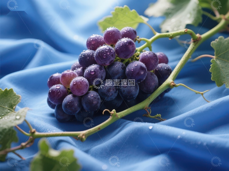 高清大图下载【趣麦麦图】新鲜葡萄串上的水珠特写