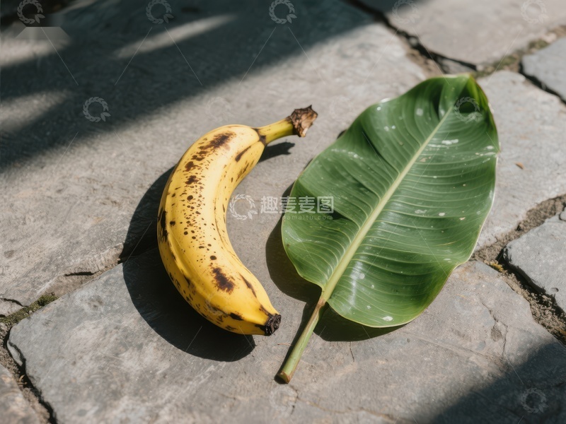 高清大图下载【趣麦麦图】香蕉与绿叶静置石板路