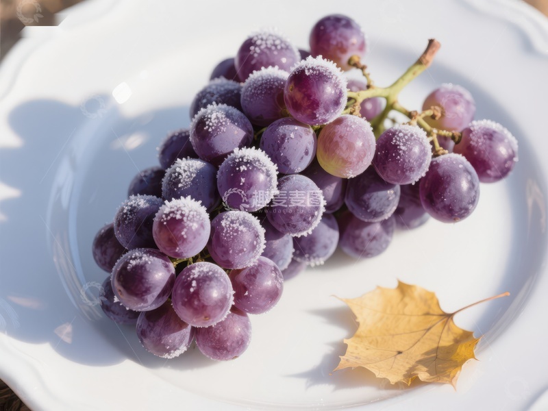 高清大图下载【趣麦麦图】霜冻葡萄与秋叶静物
