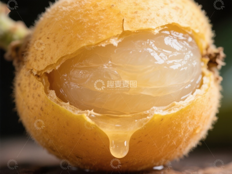 高清大图下载【趣麦麦图】新鲜龙眼果肉特写