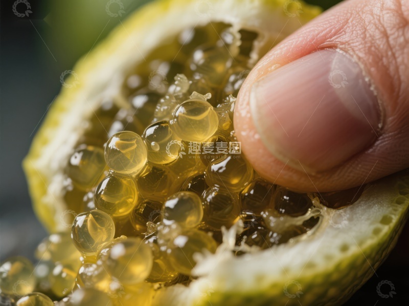 高清大图下载【趣麦麦图】手指挤压百香果，汁液四溢