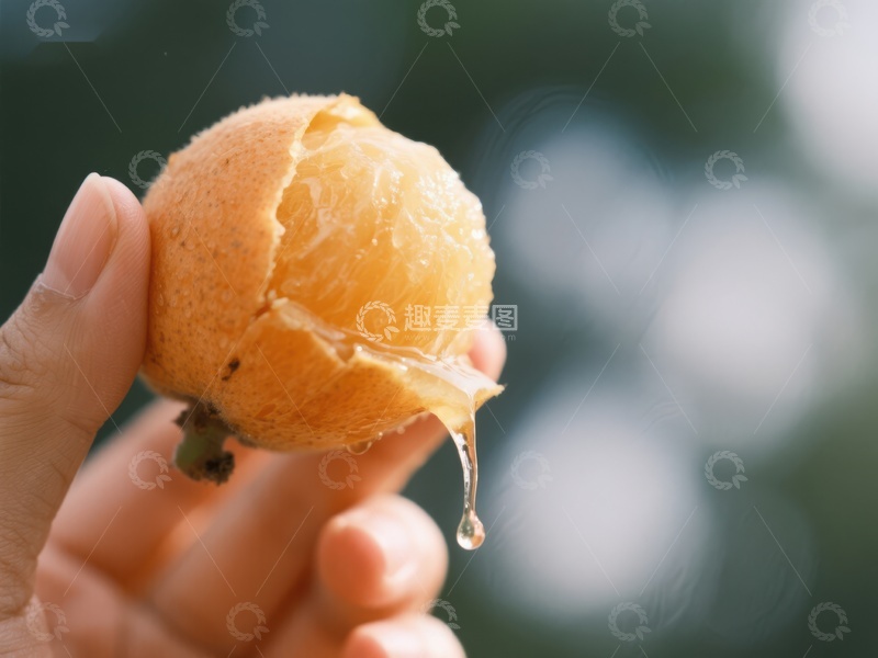 高清大图下载【趣麦麦图】手握剥开的柑橘，汁液滴落