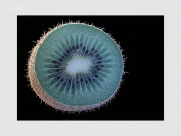 切开的奇异果特写