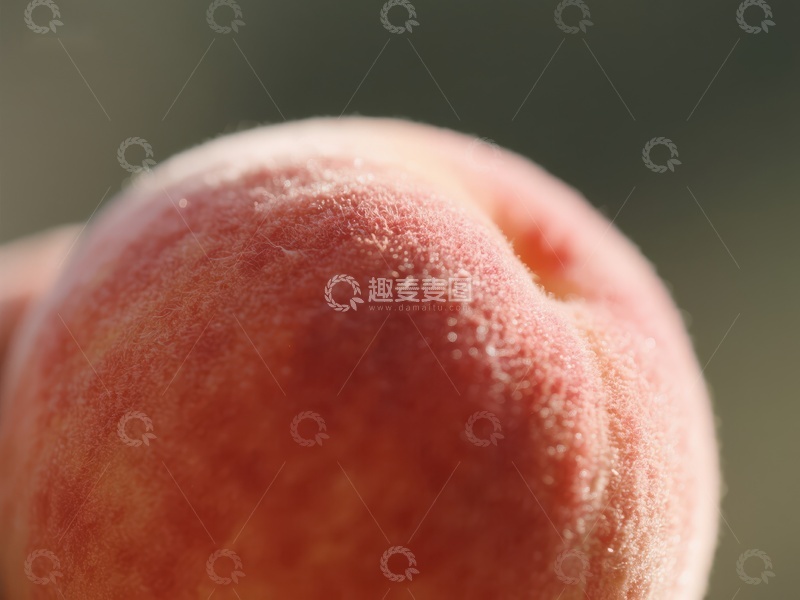 高清大图下载【趣麦麦图】新鲜桃子的特写镜头
