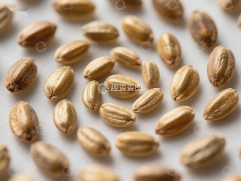 高清大图下载【趣麦麦图】金黄色谷粒的特写