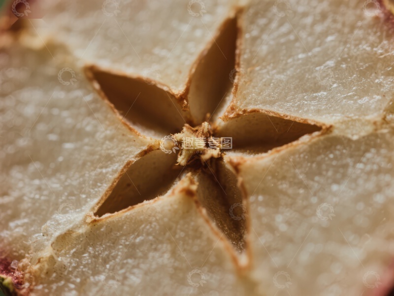 高清大图下载【趣麦麦图】苹果切面的星形种子结构