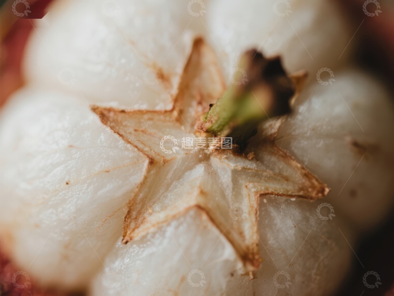 高清大图下载【趣麦麦图】新鲜水果切面特写