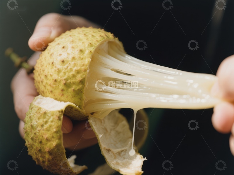 高清大图下载【趣麦麦图】手撕新鲜菠萝蜜，果肉拉丝