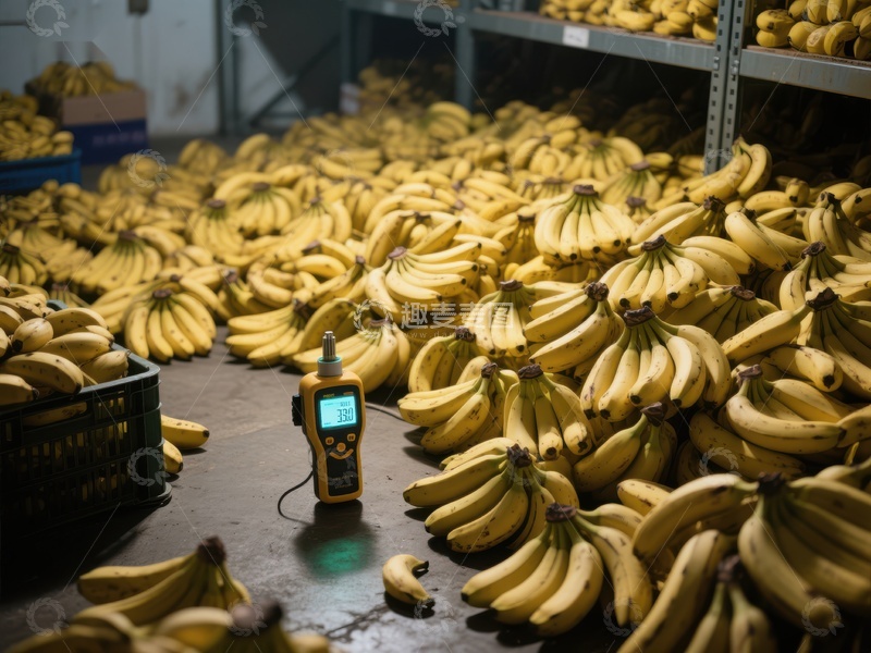 高清大图下载【趣麦麦图】仓库中堆放的香蕉与检测设备