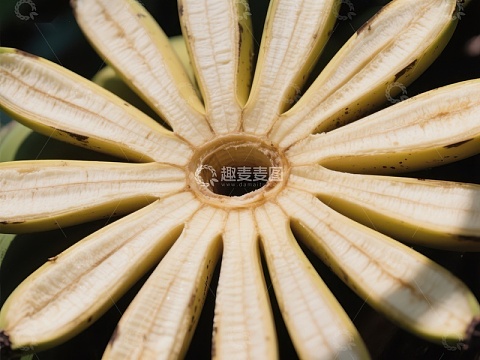 香蕉皮排列成花状的特写
