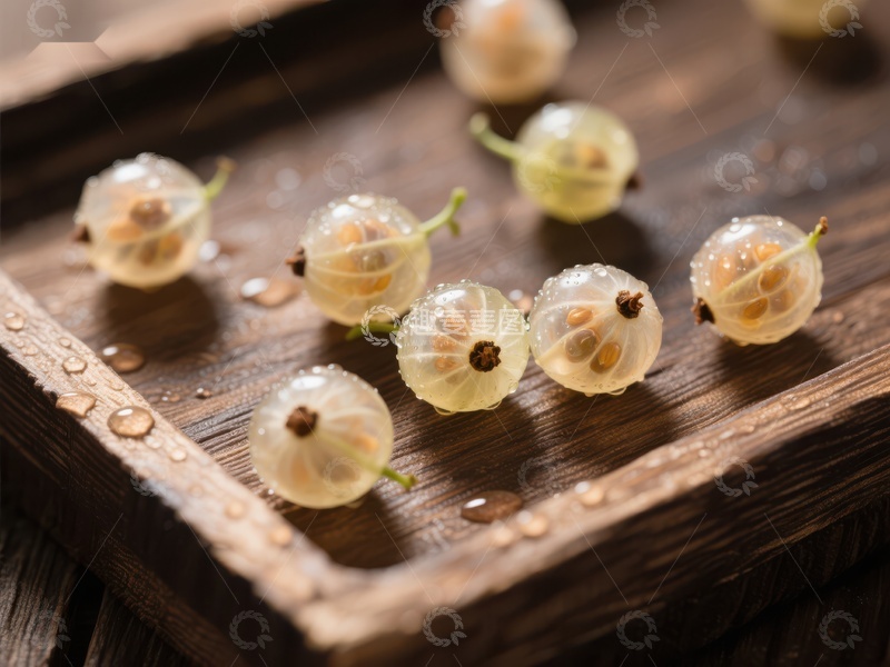 高清大图下载【趣麦麦图】透明果荚散落木质托盘