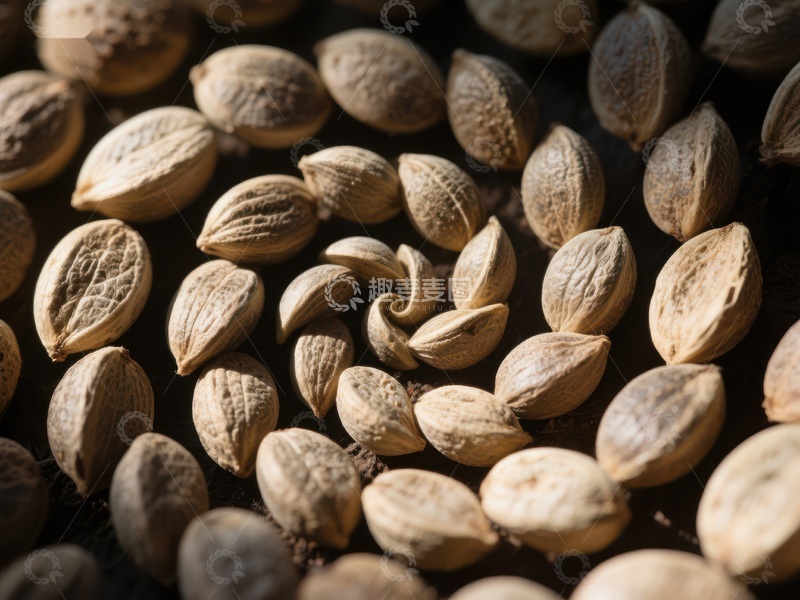 高清大图下载【趣麦麦图】紧密排列的杏仁特写