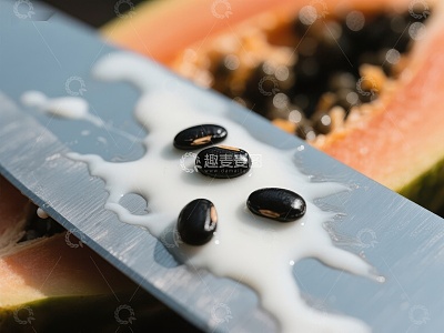 木瓜籽与刀上的乳白色汁液