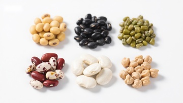 六种豆类的分类展示