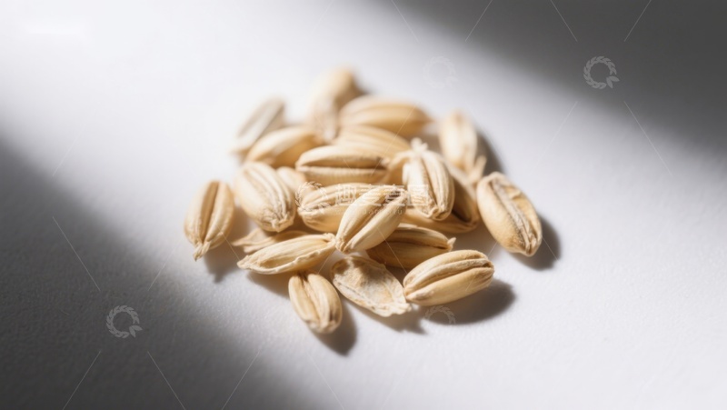 高清大图下载【趣麦麦图】阳光下的谷粒特写