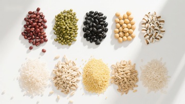 多种谷物与豆类的排列展示