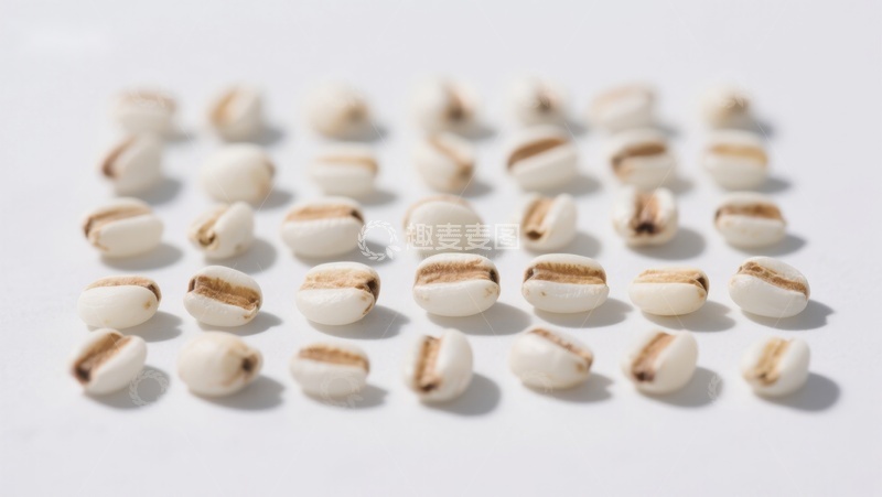 高清大图下载【趣麦麦图】整齐排列的白色豆粒