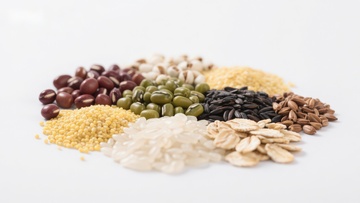 多种谷物和豆类的组合展示