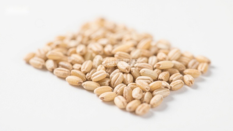 高清大图下载【趣麦麦图】小麦颗粒特写