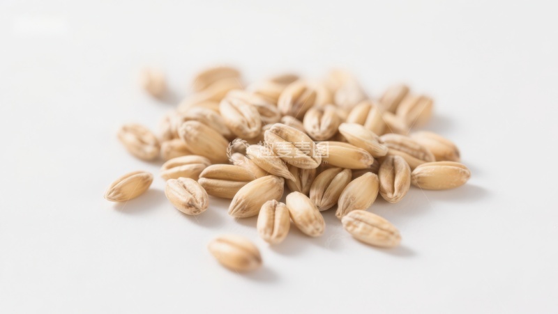 高清大图下载【趣麦麦图】金黄色麦粒特写