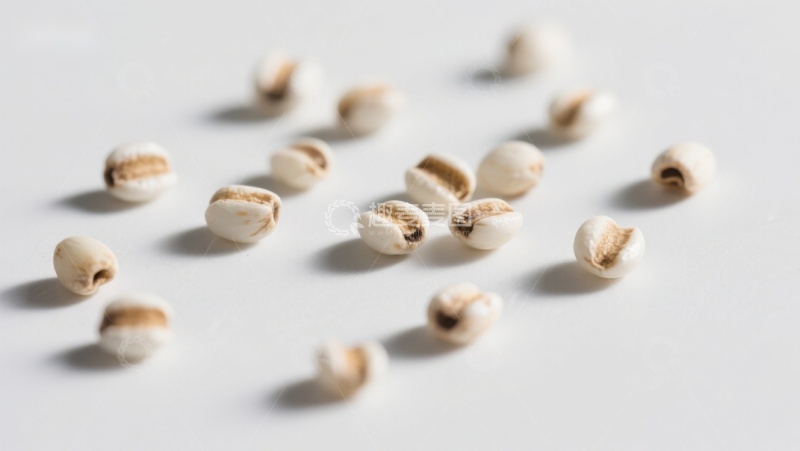 高清大图下载【趣麦麦图】白色谷物散落于浅色背景