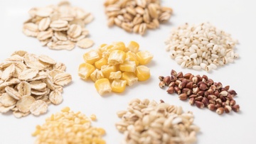 多种谷物与种子的展示