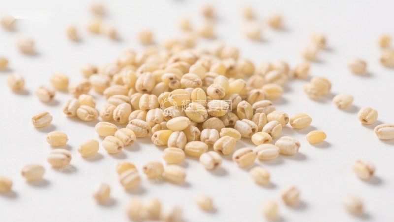 高清大图下载【趣麦麦图】散落的米粒特写