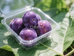 新鲜李子装在透明塑料盒中