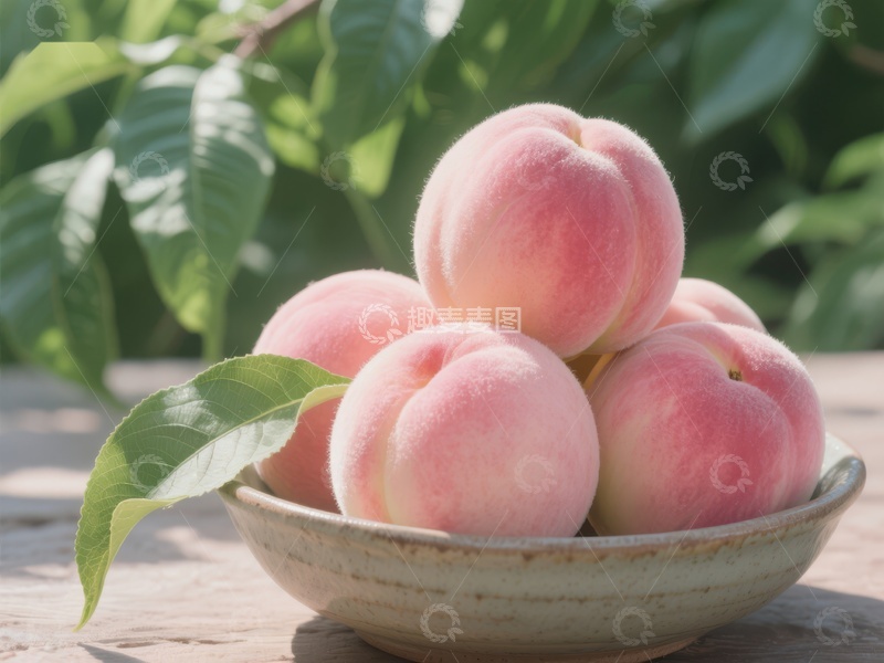 高清大图下载【趣麦麦图】新鲜桃子堆放在绿叶旁的碗中