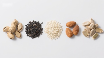 多种坚果与种子的排列展示