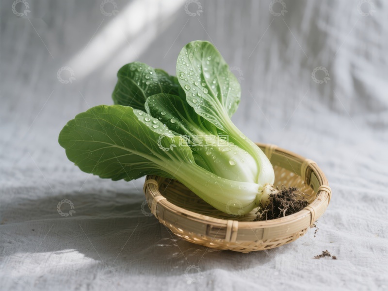 高清大图下载【趣麦麦图】新鲜青菜置于竹篮中