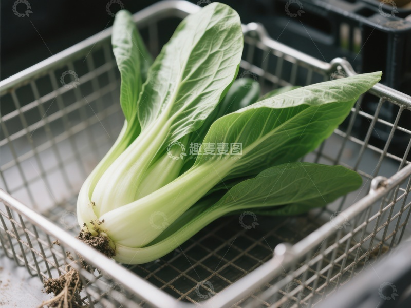 高清大图下载【趣麦麦图】新鲜青菜置于金属篮中