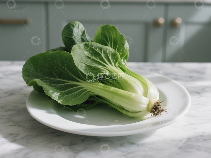 高清大图下载【趣麦麦图】新鲜小白菜置于白色盘中