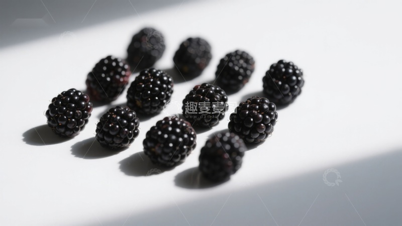 高清大图下载【趣麦麦图】阳光下的新鲜黑莓