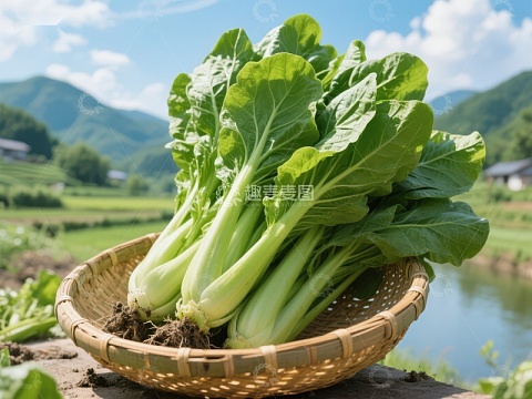 新鲜青菜置于竹篮中，背景为田园风光