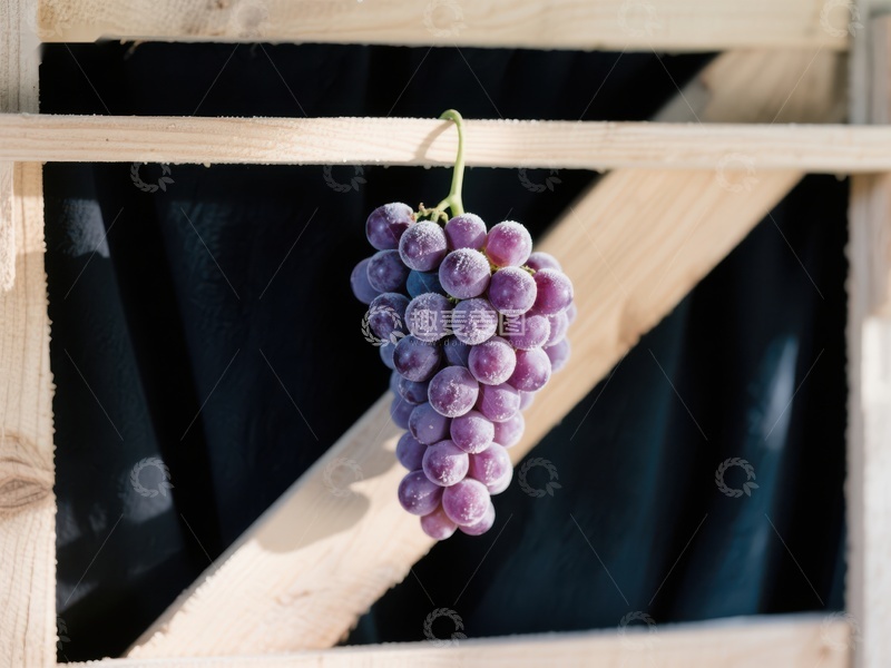 高清大图下载【趣麦麦图】悬挂的紫葡萄特写