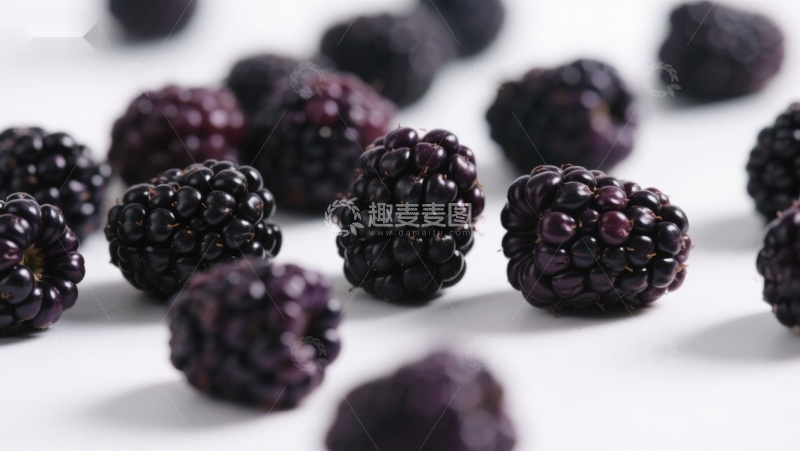 高清大图下载【趣麦麦图】新鲜黑莓散落白色背景