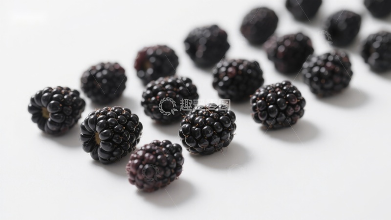 高清大图下载【趣麦麦图】新鲜黑莓整齐排列