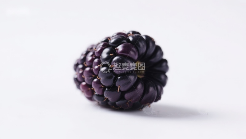 高清大图下载【趣麦麦图】新鲜黑莓特写