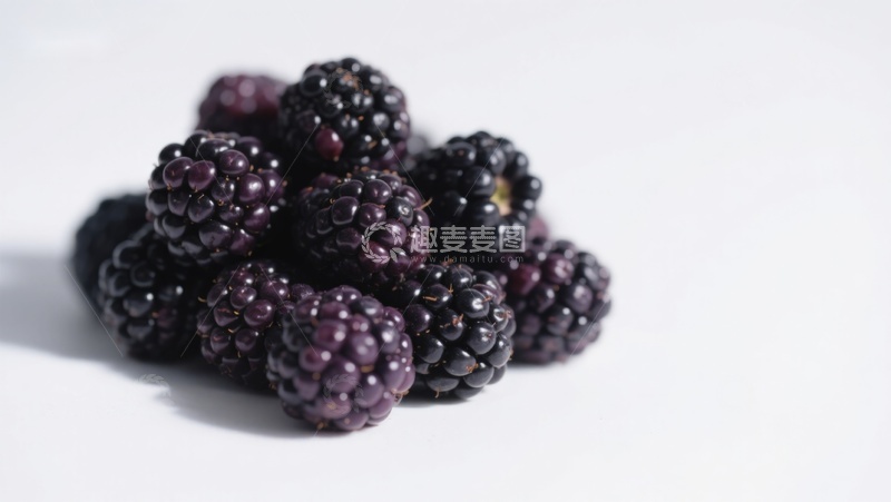 高清大图下载【趣麦麦图】新鲜黑莓堆叠在白色背景上